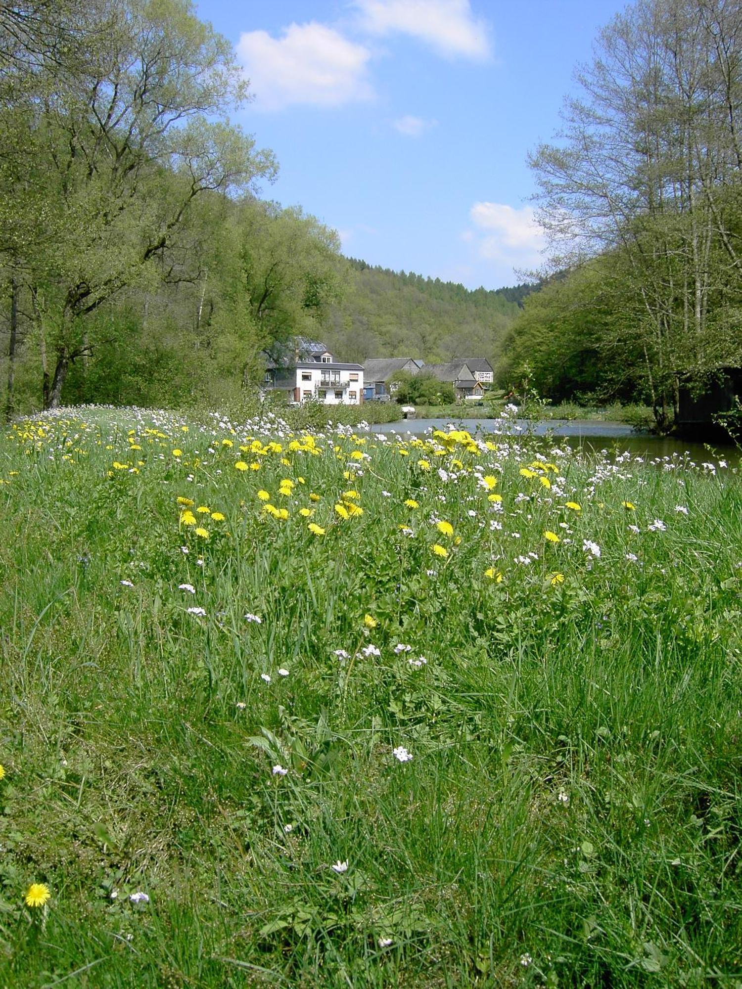 Pulgersmuehle, Eg Apartment Altstrimmig Bagian luar foto
